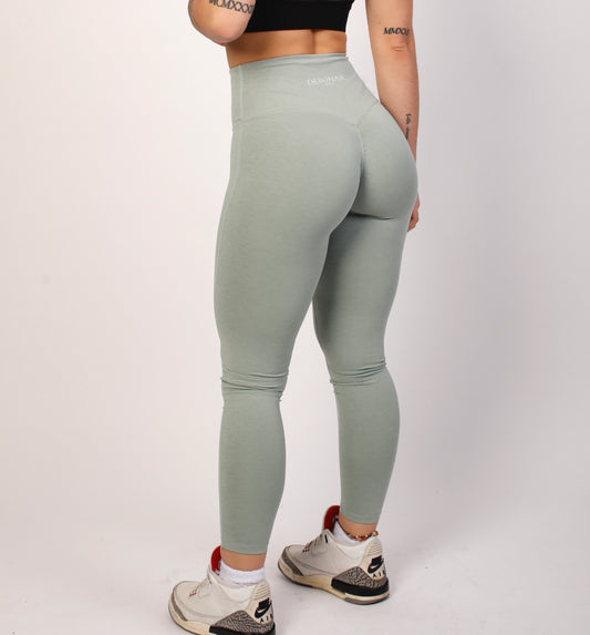 Squat Proof High Waisted Leggings